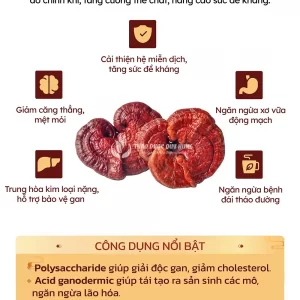 cong-dung-nam-linh-chi-han-quoc