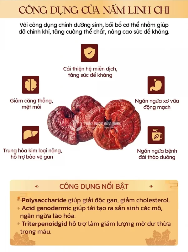 cong-dung-nam-linh-chi-han-quoc