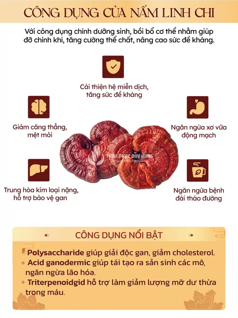 cong-dung-nam-linh-chi-han-quoc