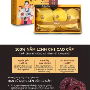 nam-linh-chi-co-gai-chinh-hang