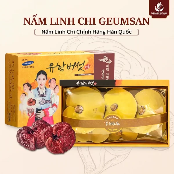 nam-linh-chi-han-quoc-co-gai-geumsang