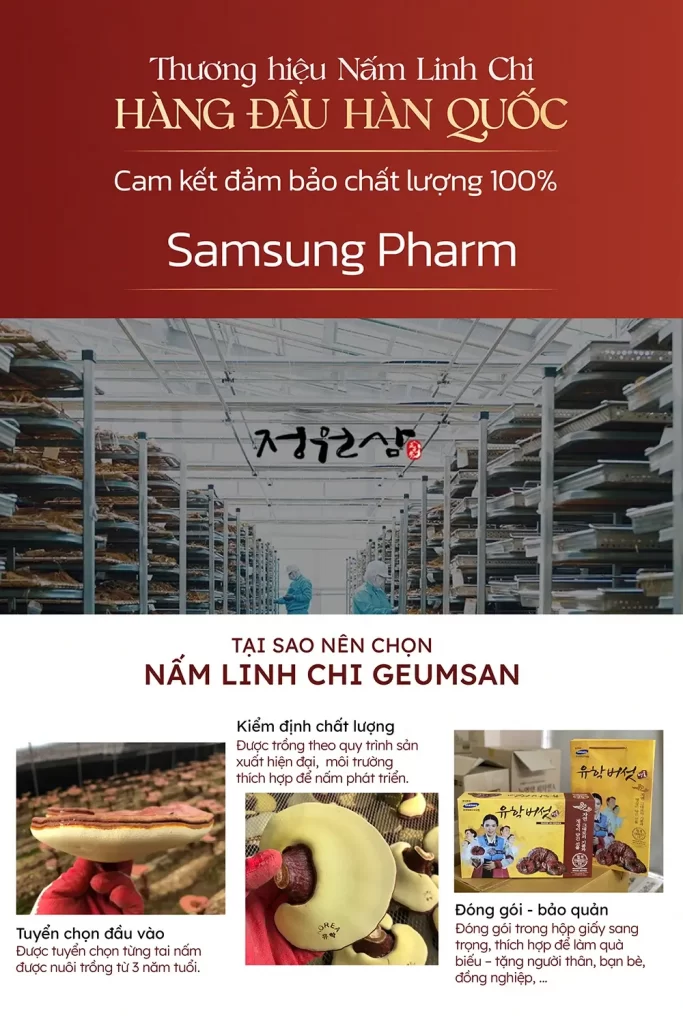 tai-sao-nen-chon-mua-nam-linh-chi-geumsan