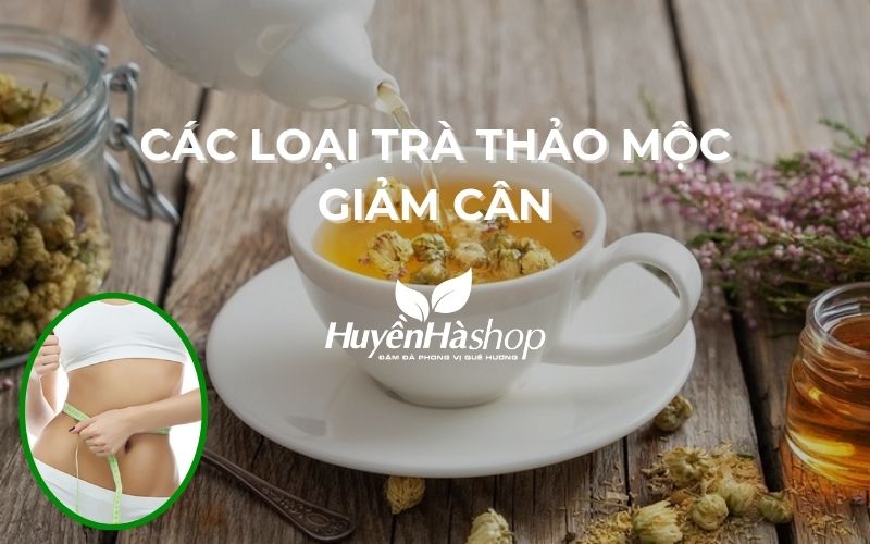 cac-loai-tra-thao-moc-giam-can-blog