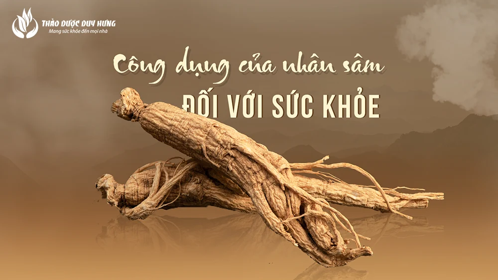 cong-dung-cua-nhan-sam-doi-voi-suc-khoe