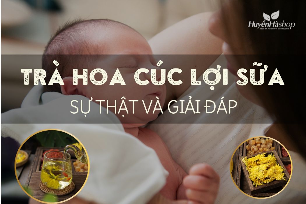 tra-hoa-cuc-loi-sua-khong-blog