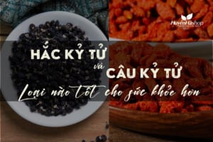 ky-tu-den-va-ky-tu-do