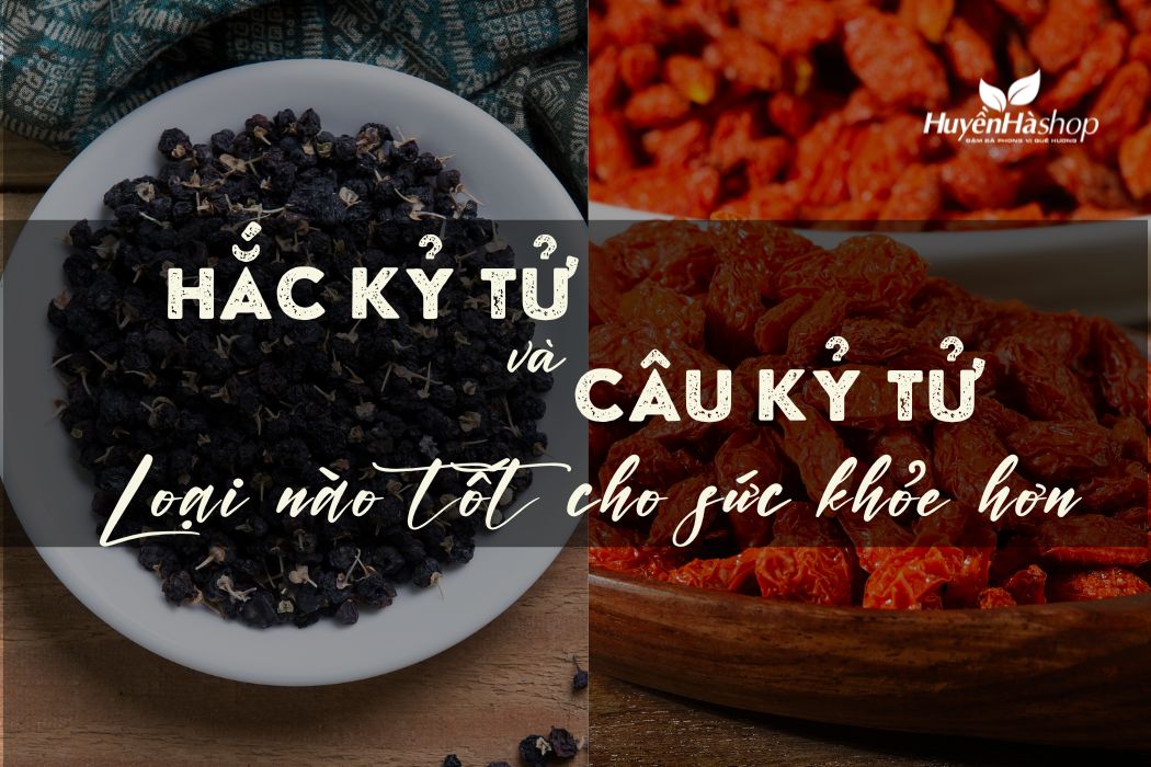 ky-tu-den-va-ky-tu-do