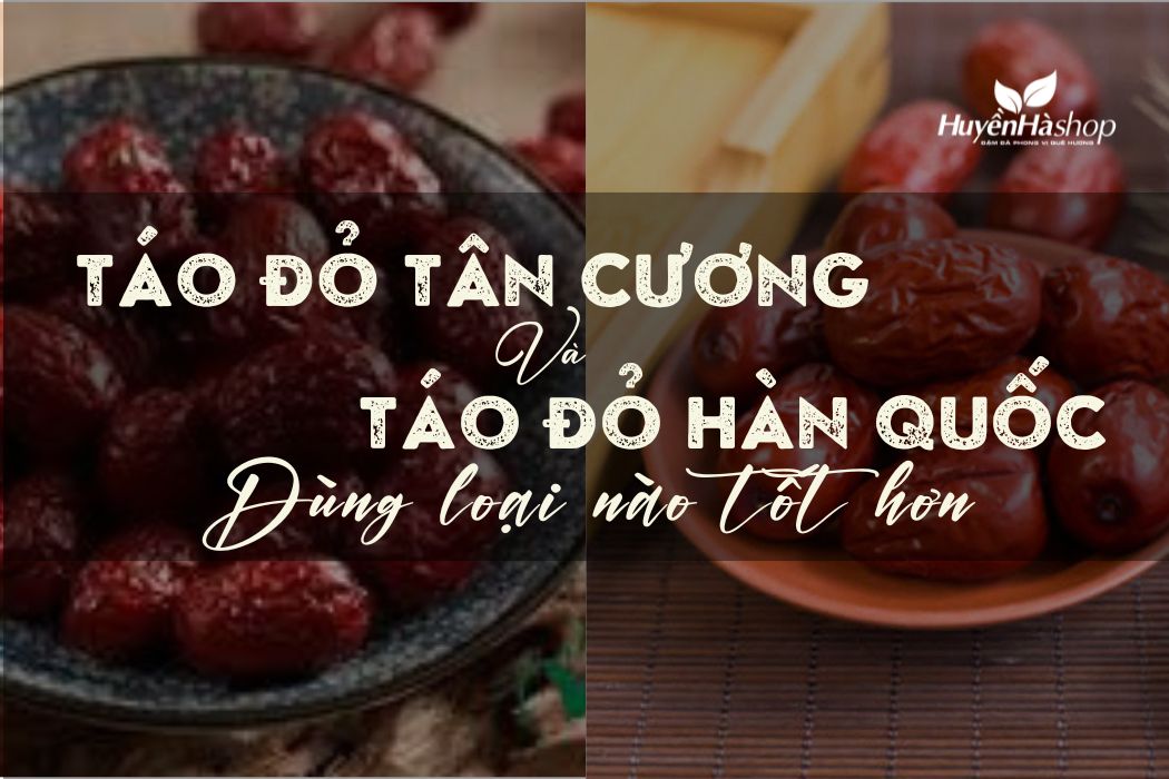 tao-do-tan-cuong-va-tao-do-han-quoc
