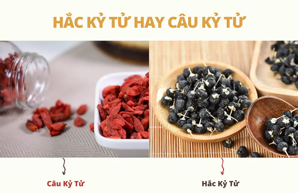 hac-ky-tu-hay-cau-ky-tu