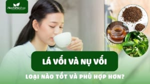 nu-voi-va-la-voi-cai-nao-tot-hon