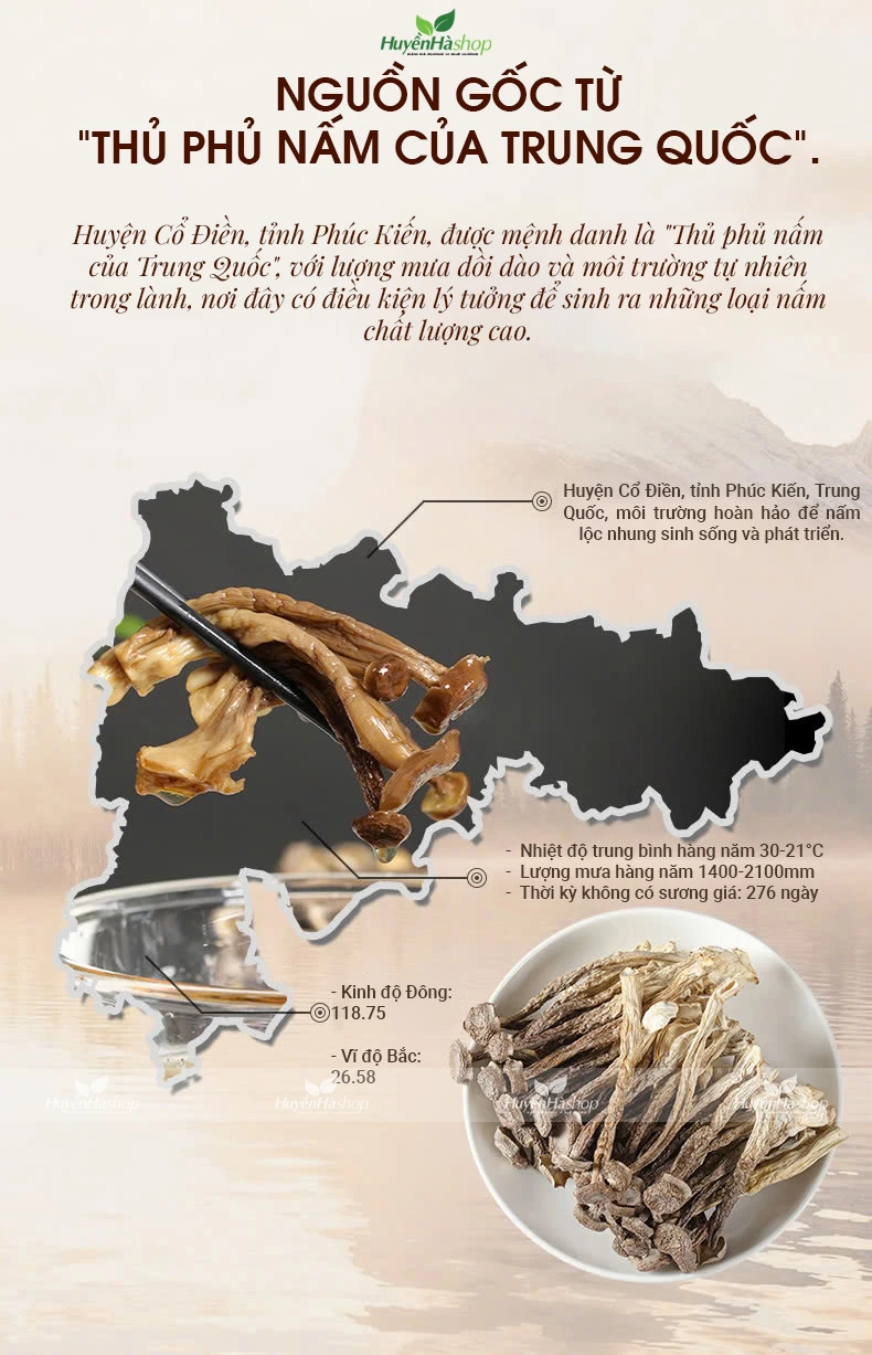 xuat-xu-nam-loc-nhung