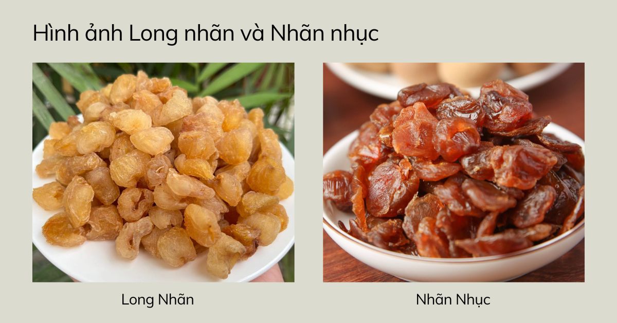 hinh-anh-long-nhan-va-nhan-nhuc