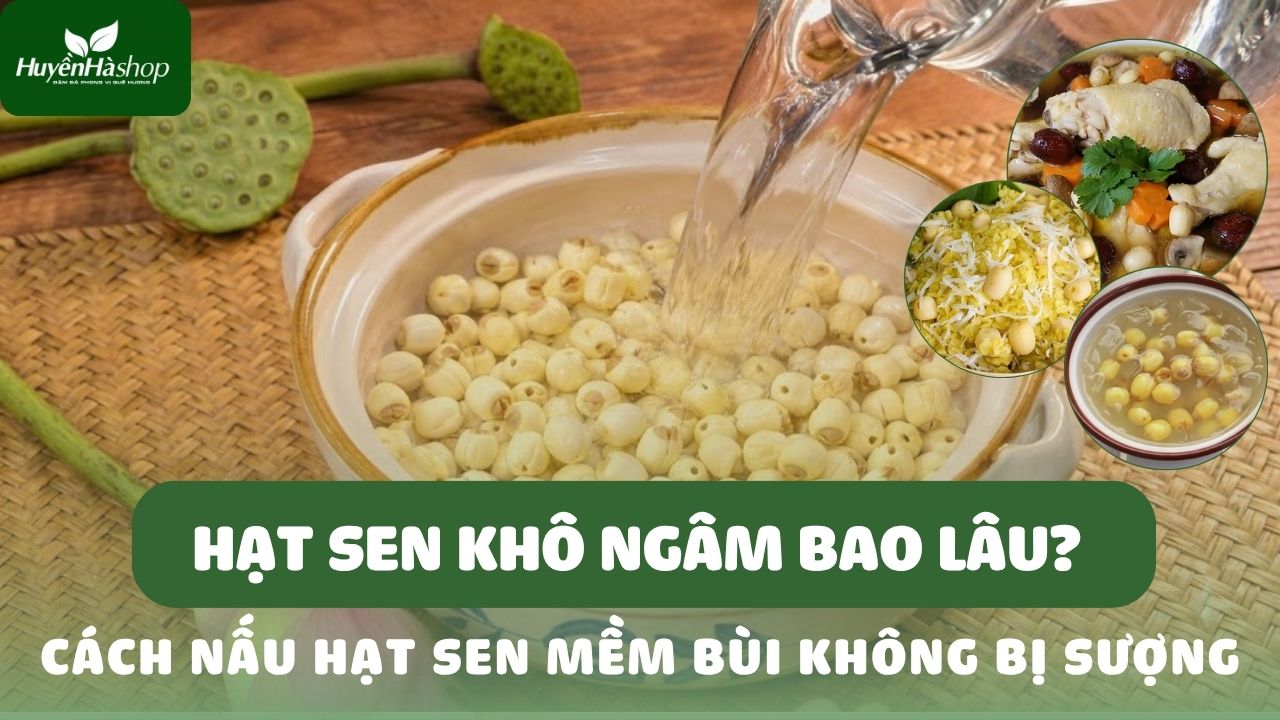 blog-hat-sen-kho-ngam-bao-lau